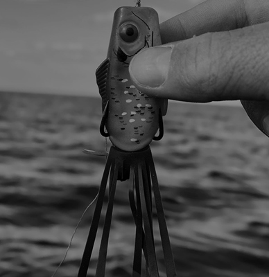 Using Topwater Baits During the Spawn