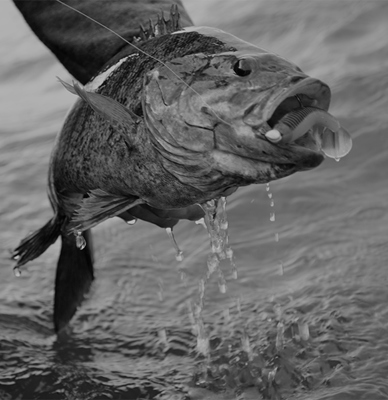 Mark Zona's Top Three Cold-Water Baits