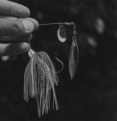 Spinnerbait vs. Swimbait