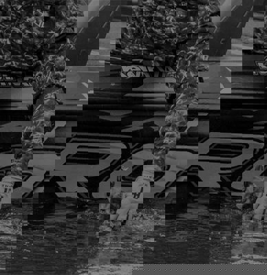 Pre-Spawn Cranking Breakdown