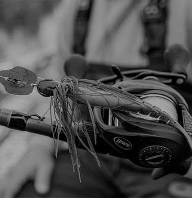 Squarebill vs. Thunder Cricket