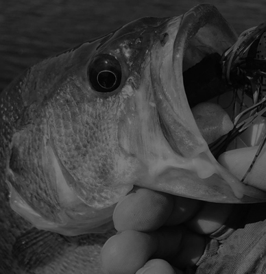 How to Rig a Thunder Cricket