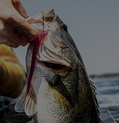 Summer Finesse Tactics with Dakota Ebare