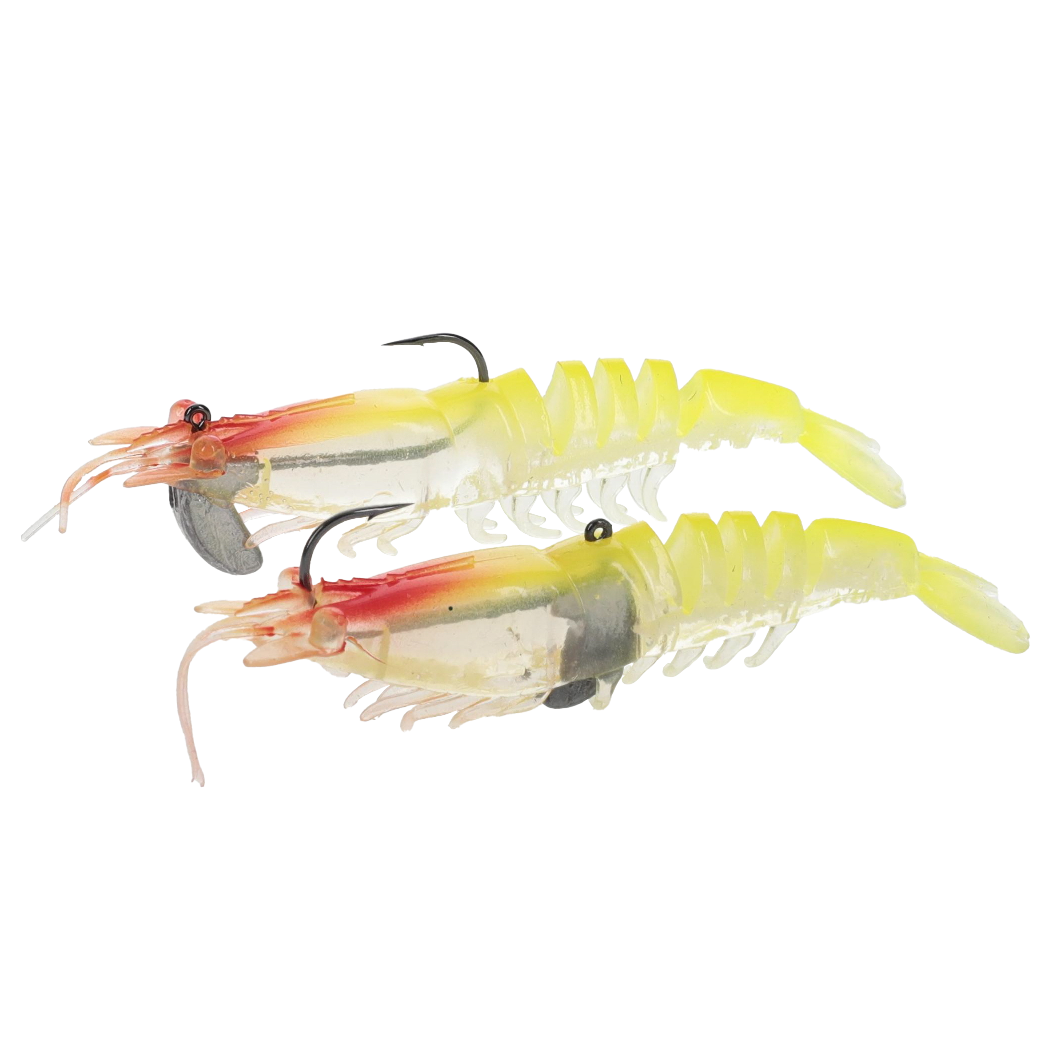 tidal shrimp