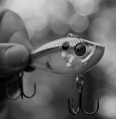 Top Five Fall Baits for Fishing in the South