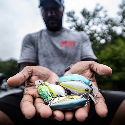 Angler Holding Several crankbaits