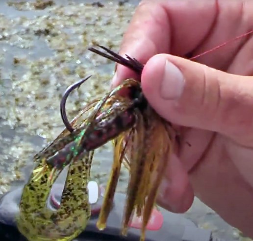 Jig hook rigged with a Rage Craw