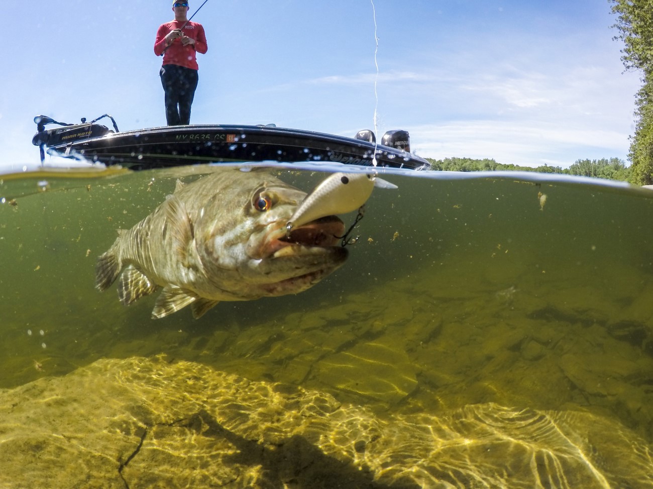 Tips for Fishing Crankbaits