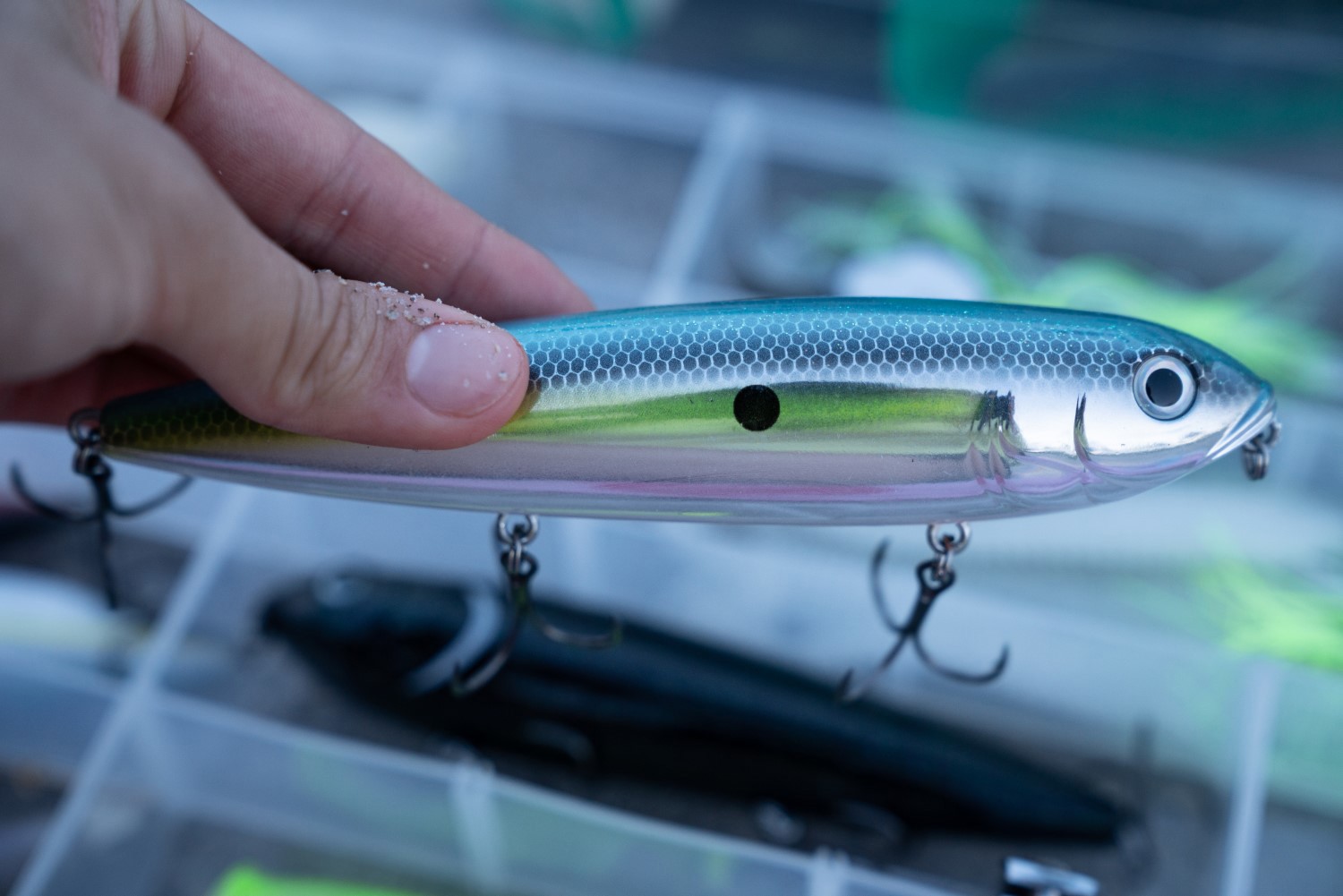 Fishing Topwater Lures - James Niggemeyer's Rules of Thumb