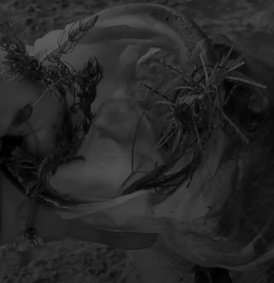 How to Catch Big Bass in the Fall