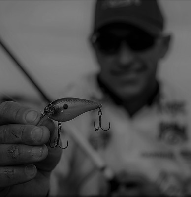 All Season Baits and Colors