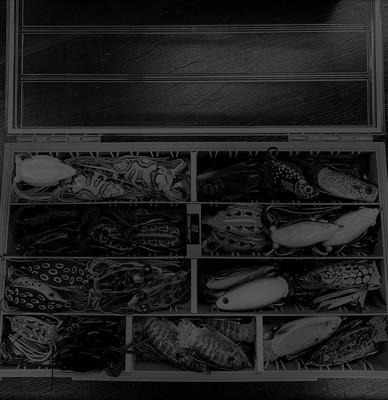 Kevin VanDam Explains How He Fishes a KVD Sexy Frog