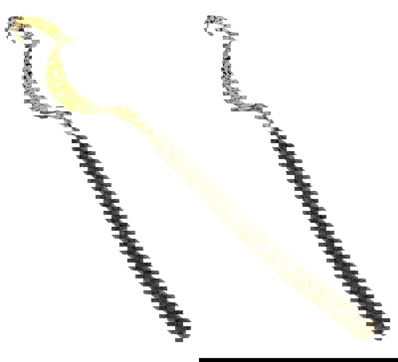 Zeus Worm