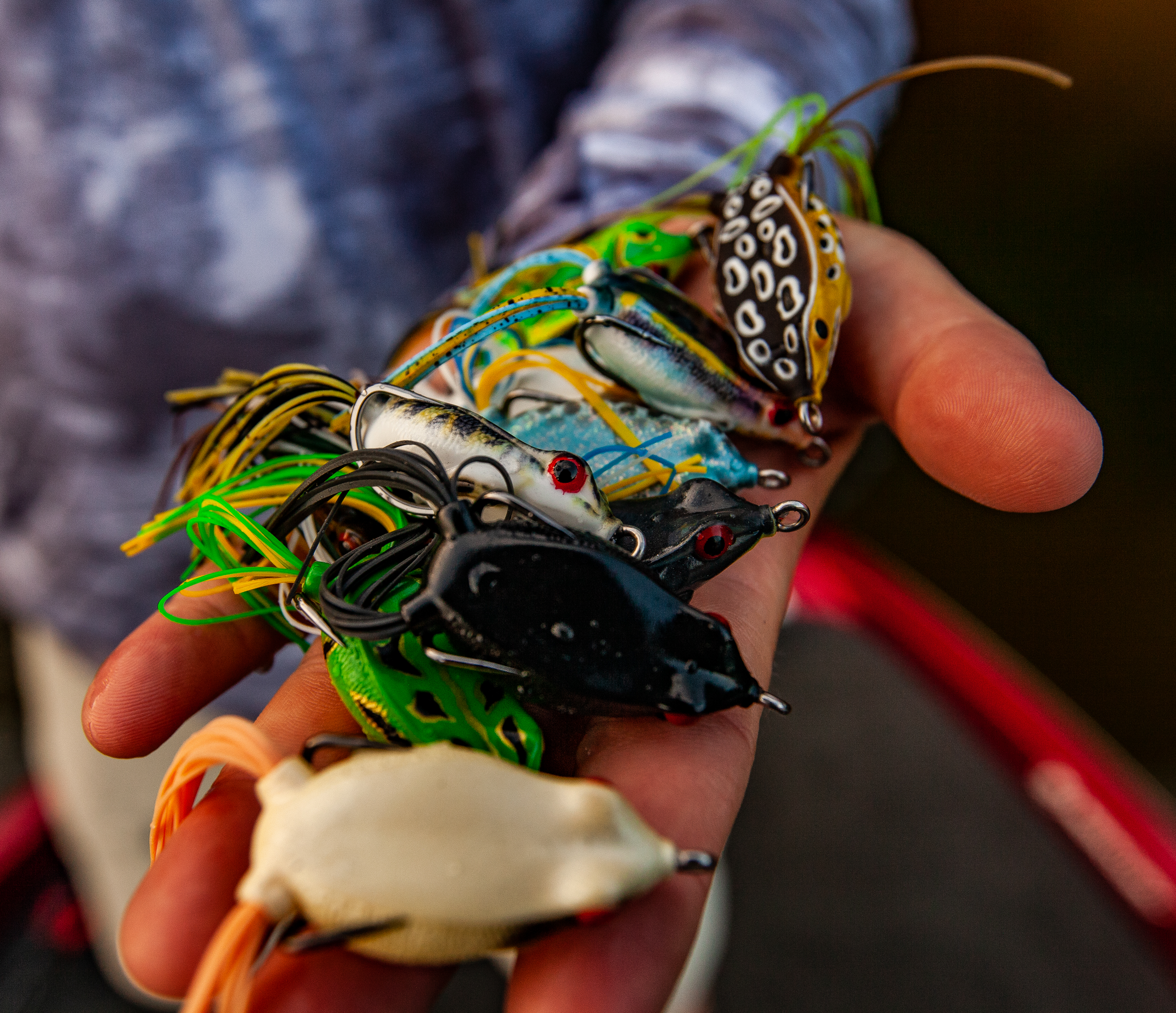 GIRLフロッグ Strike King KVD Sexy Frog | Bass Pro Shops