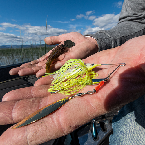 Burner Spinnerbait | Strike King Lure Company