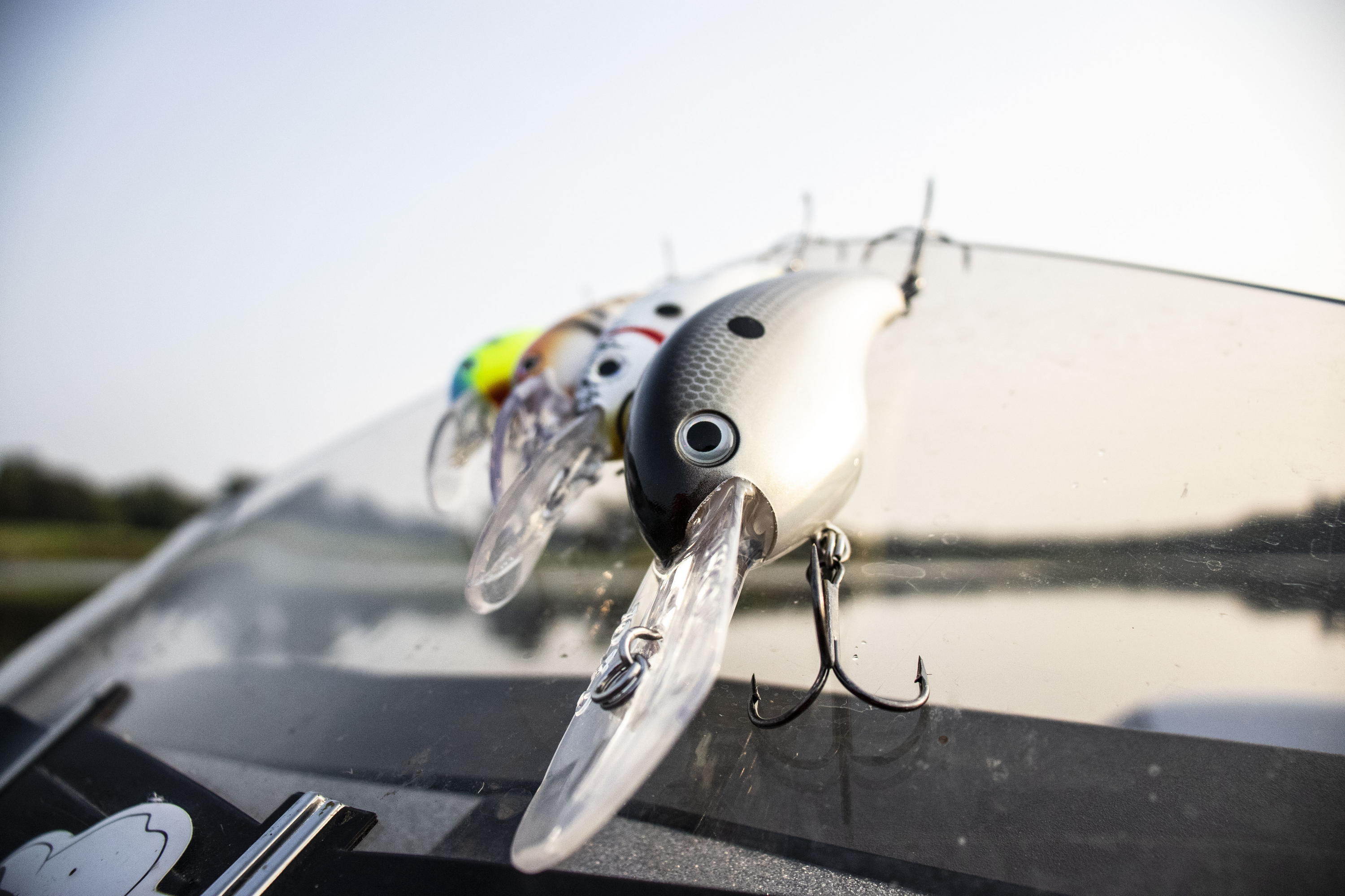 Pro Model 10XD Crankbait - Image 2