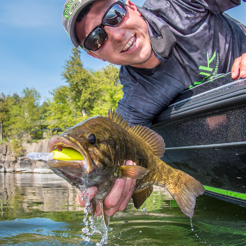 Pro Model 3XD Crankbait - Image 3