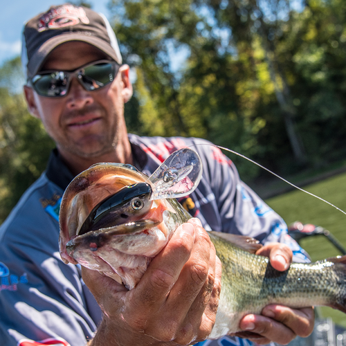 Pro Model 6XD Crankbait - Image 4