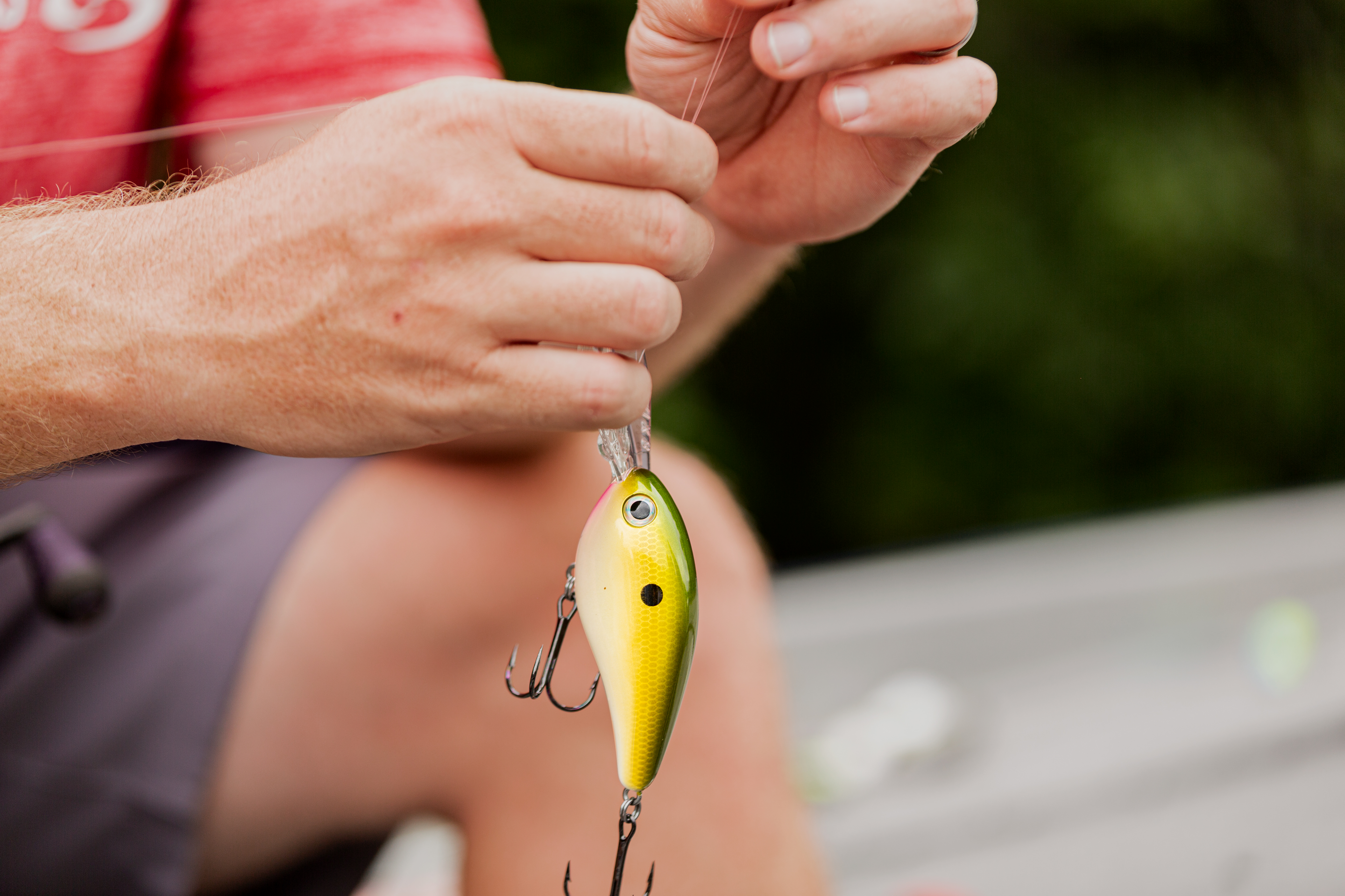 Pro Model 8XD Crankbait - Image 3
