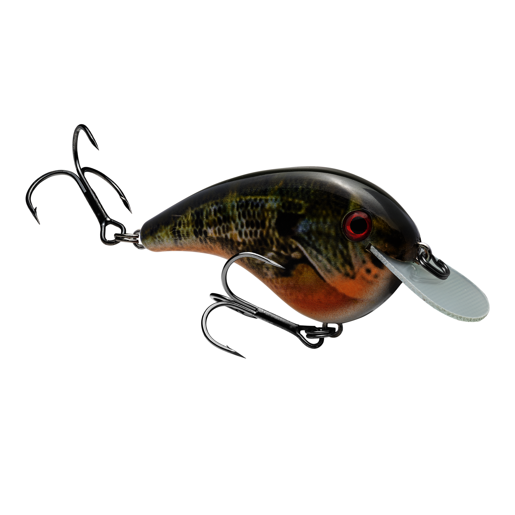 シェイキーウーマン Chick Magnet Flatside Crankbait | Strike King Lure Company