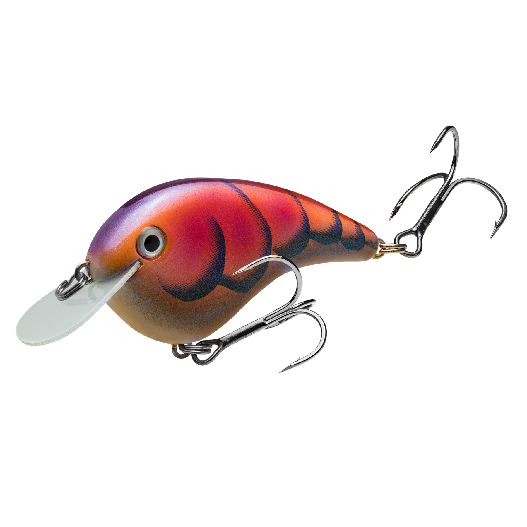 brige fishing net Promar Deluxe Hoop Bottom Trawl Survey Gear Model:Inshore Saltwater Kit Unsurpassed in quality and Chironomid Frenchie