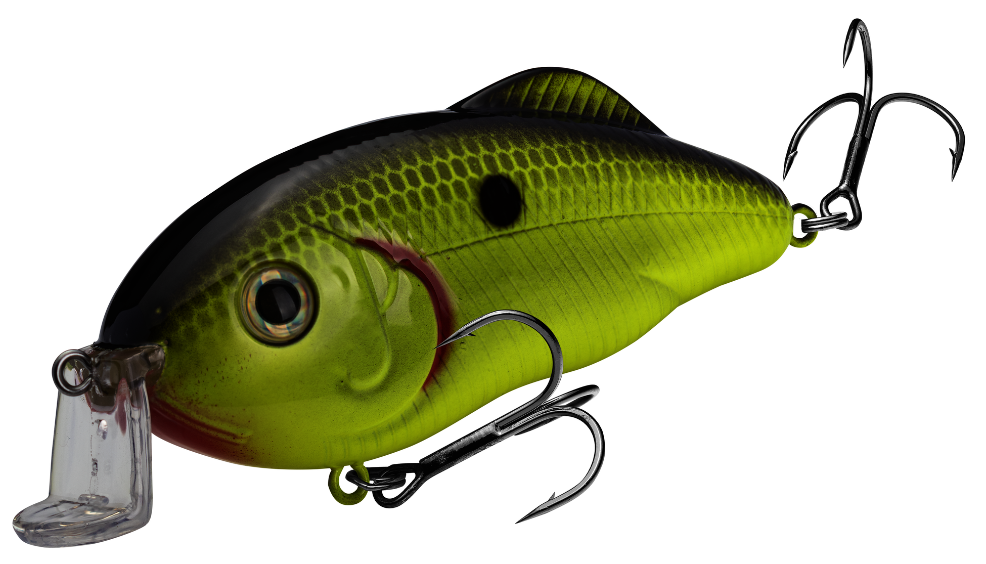 Hybrid Hunter Jr Crankbait | Strike King Lure Company
