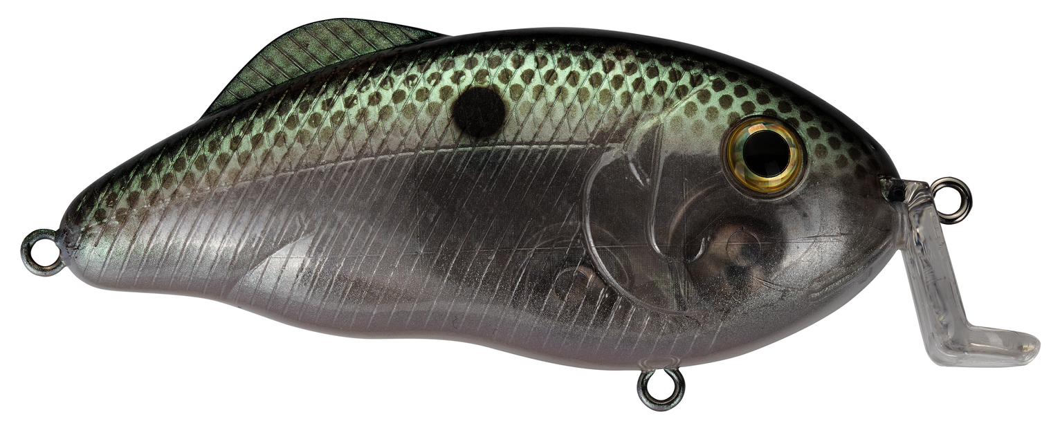 Hybrid Hunter Jr Crankbait | Strike King Lure Company