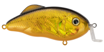 POWERFUL Strike King Hybrid Hunter Shallow Water Bass Fishing