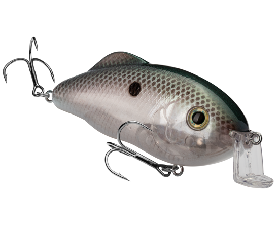 Hybrid Hunter Shallow