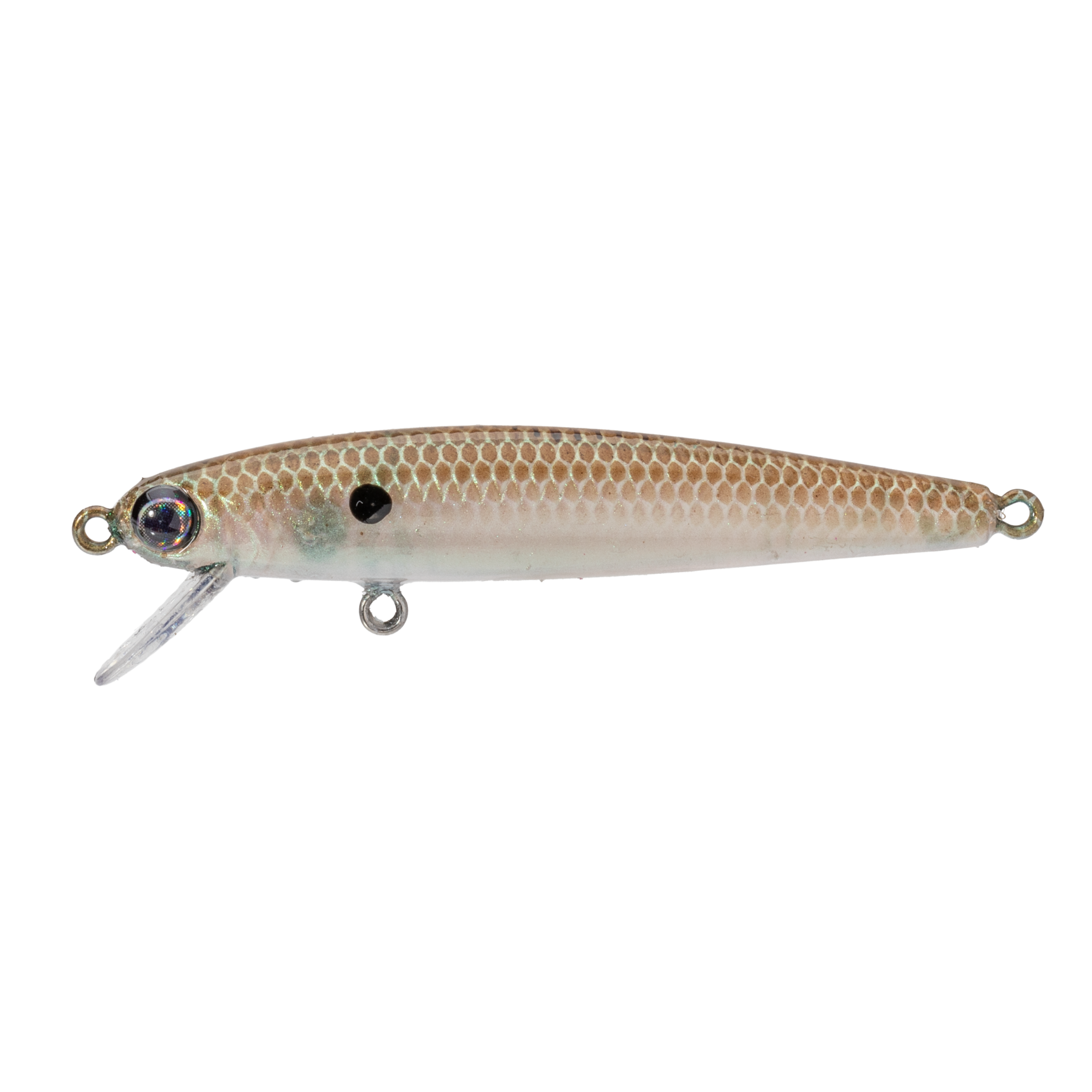 Bitsy Jerkbait | Strike King Lure Company