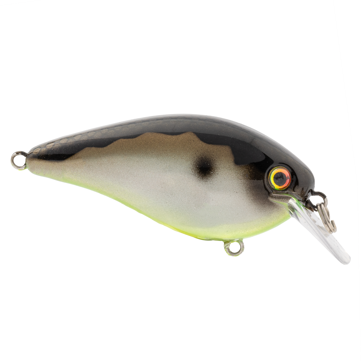 Strike King - Crankbait À Bec Carré Kvd 1,5 - Fish307
