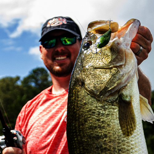 KVD Squarebill 1.5 Hard Knock Crankbait | Strike King Lure Company