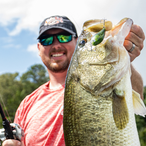 KVD Squarebill 1.5 Hard Knock Crankbait | Strike King Lure Company