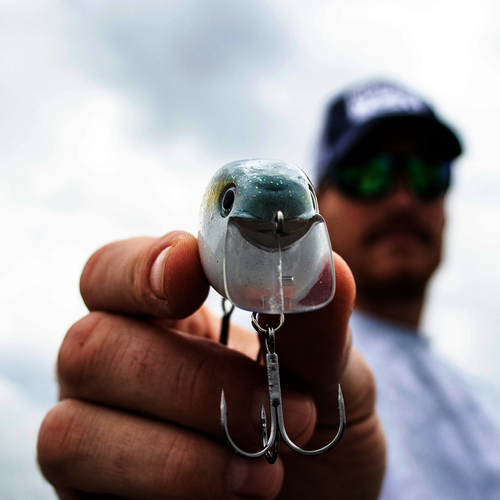 KVD 2.5 Wake Bait - Image 2