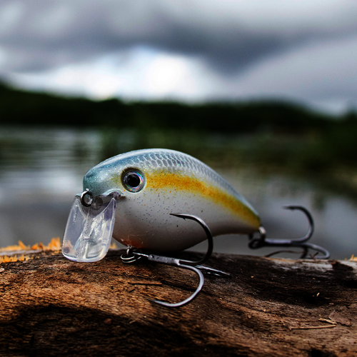 KVD 2.5 Wake Bait - Image 4