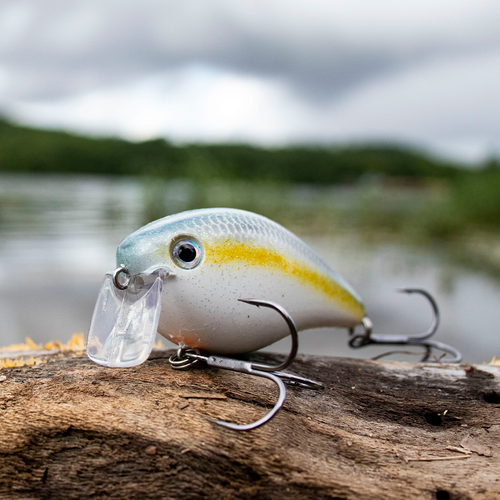 KVD 2.5 Wake Bait - Image 6