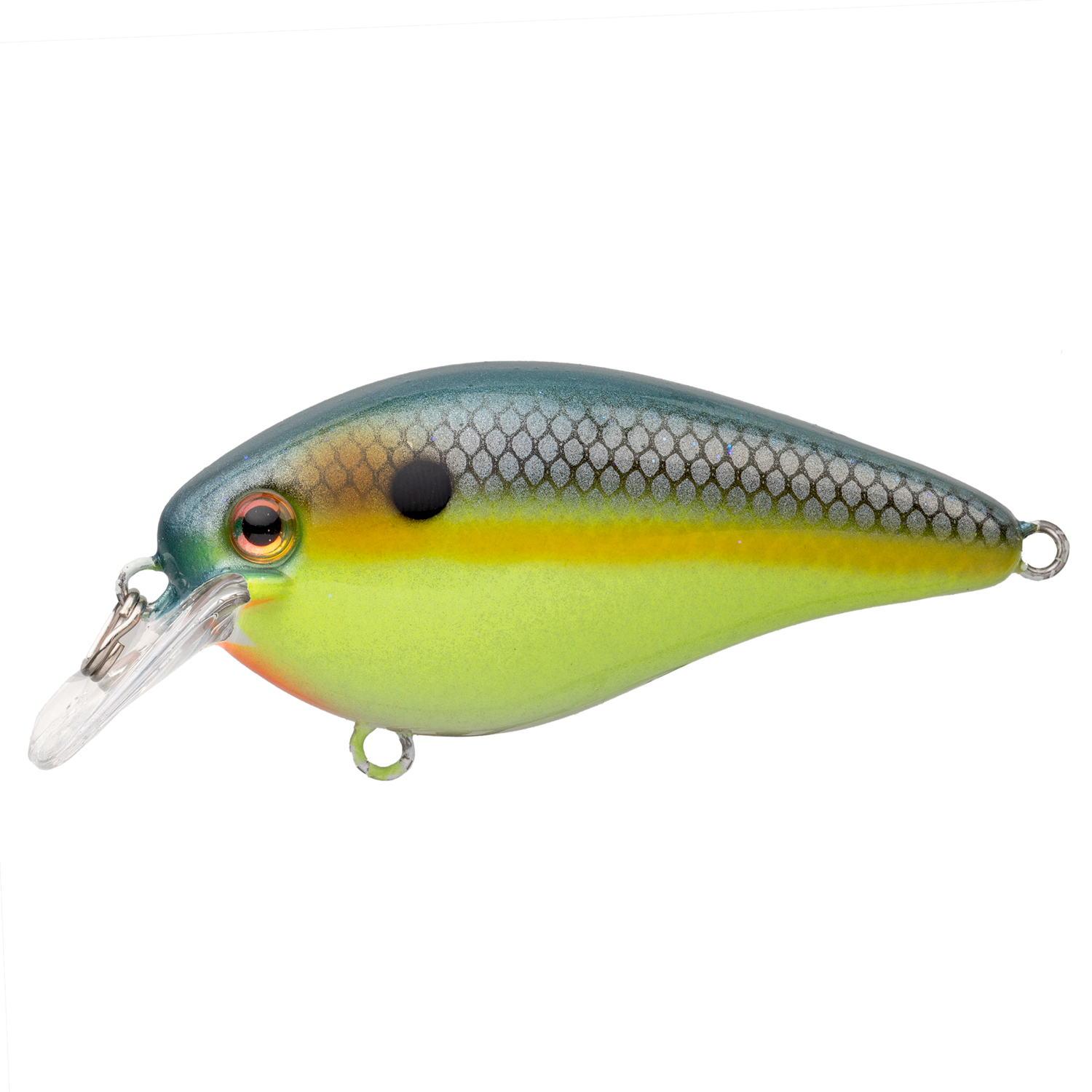 KVD Elite 8.0 | Strike King Lure Company
