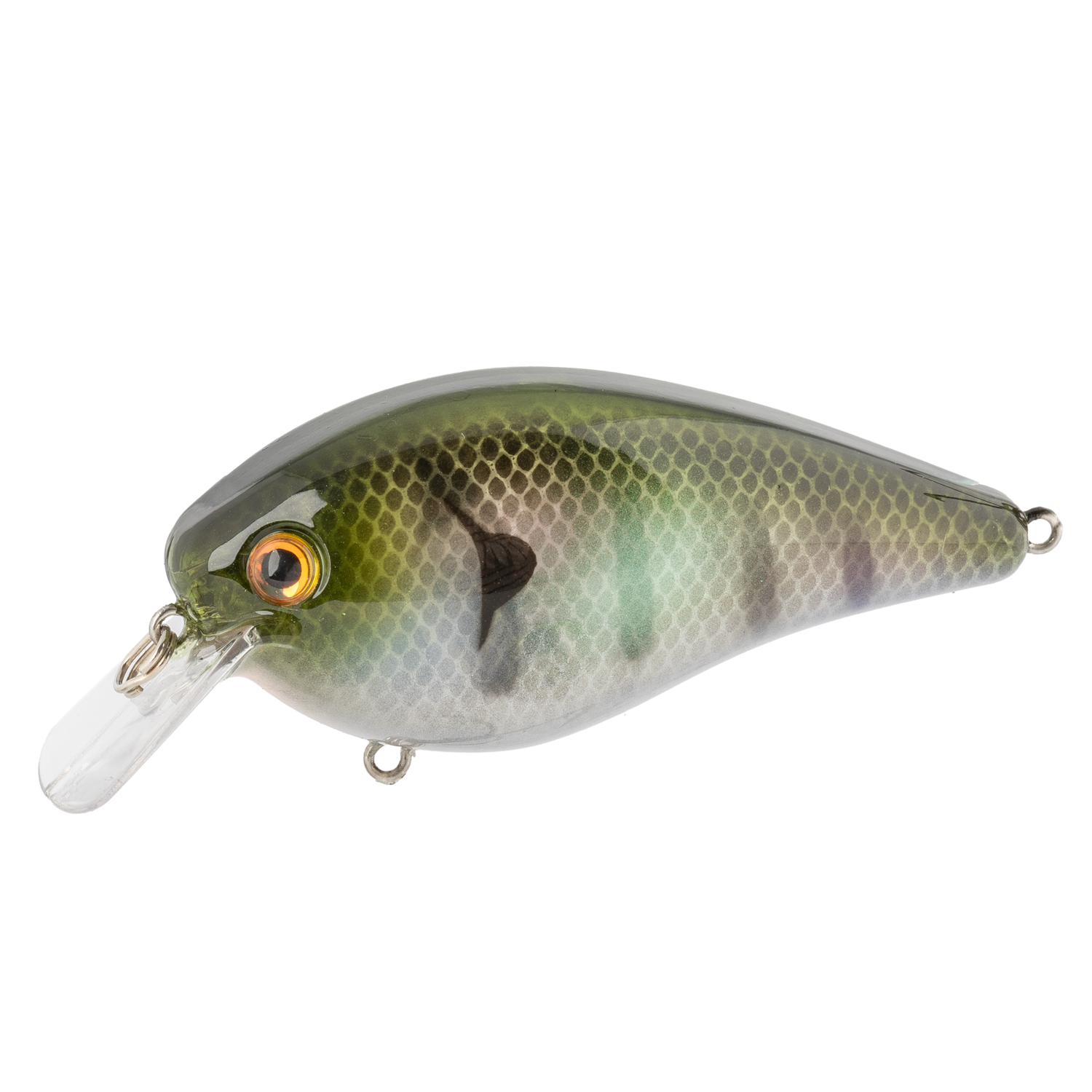 KVD Elite 8.0 | Strike King Lure Company