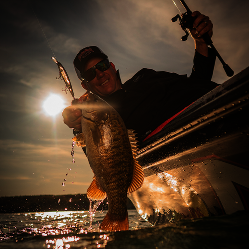 KVD Jerkbait 300 Deep