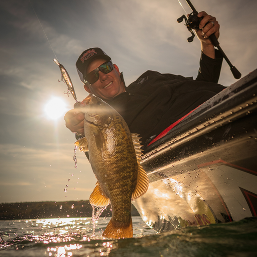 KVD Jerkbait 300 Deep - Image 4
