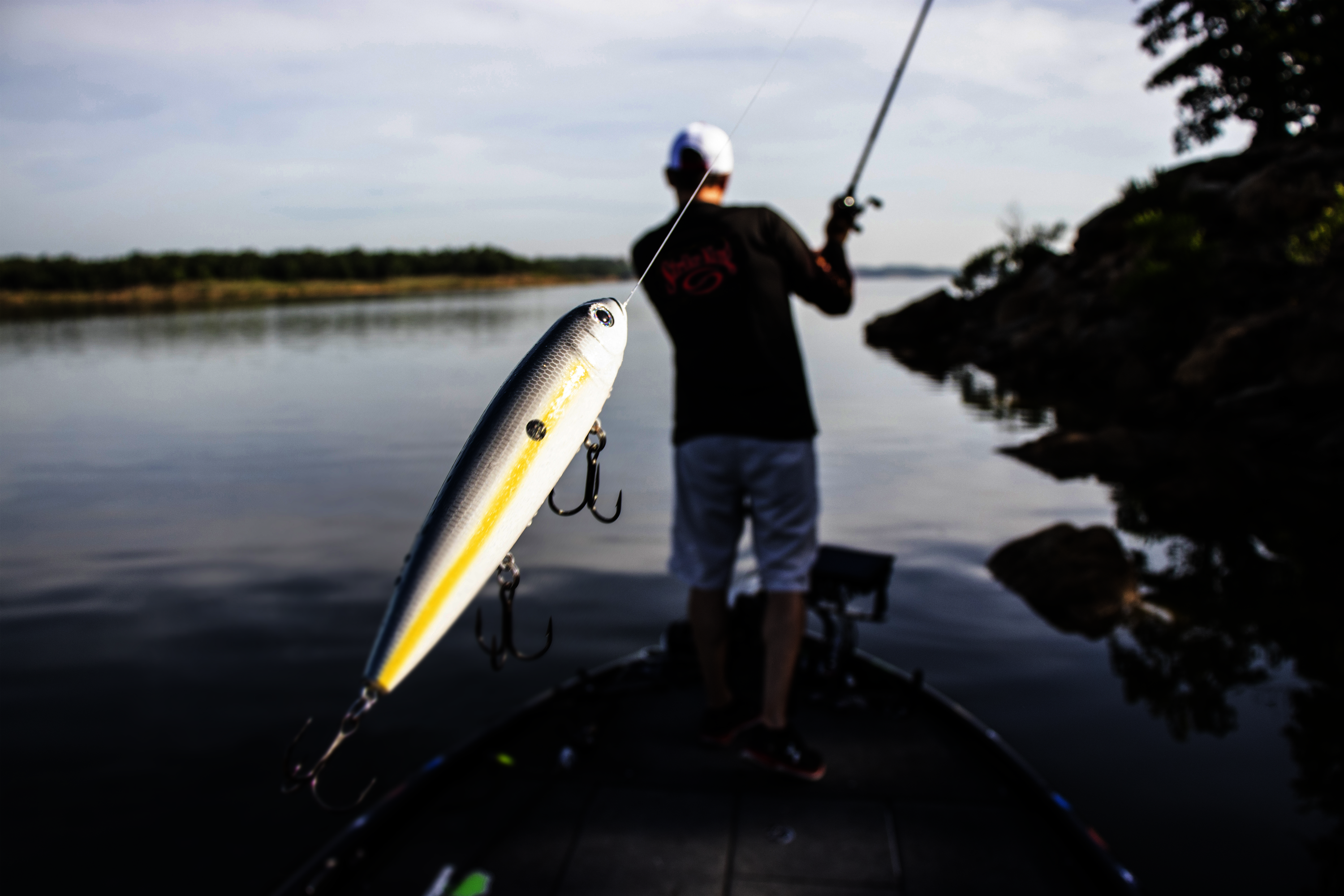 KVD Mega Dawg Topwater