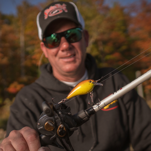 Isca Strike King KVD Square Bill 1.0 - Yellow Perch