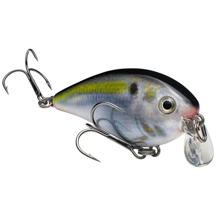 Favorite lures, lakes and recipe - KVD Q&A · The Official Web Site
