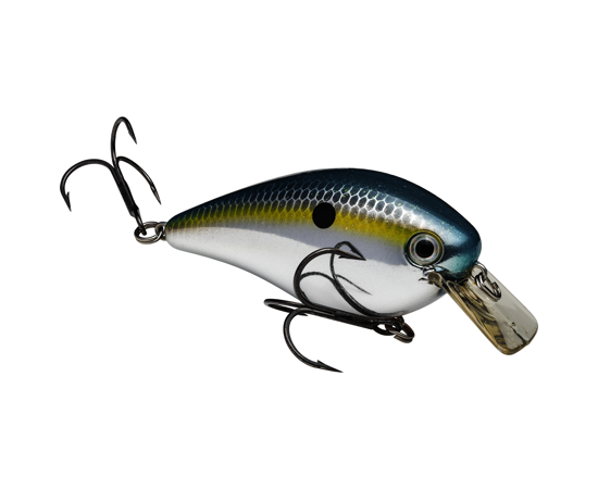 Bass Fishing with a Strike King KVD 1.5 Squarebill Crankbait - Easy -  Realistic Fishing