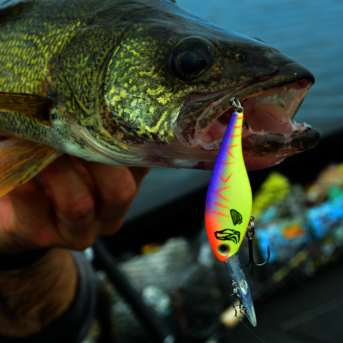 Pro Model Lucky Shad Crankbait Walleye 3" - Image 3