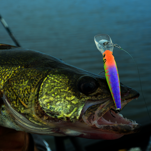 Pro Model Lucky Shad Crankbait Walleye 3" - Image 2