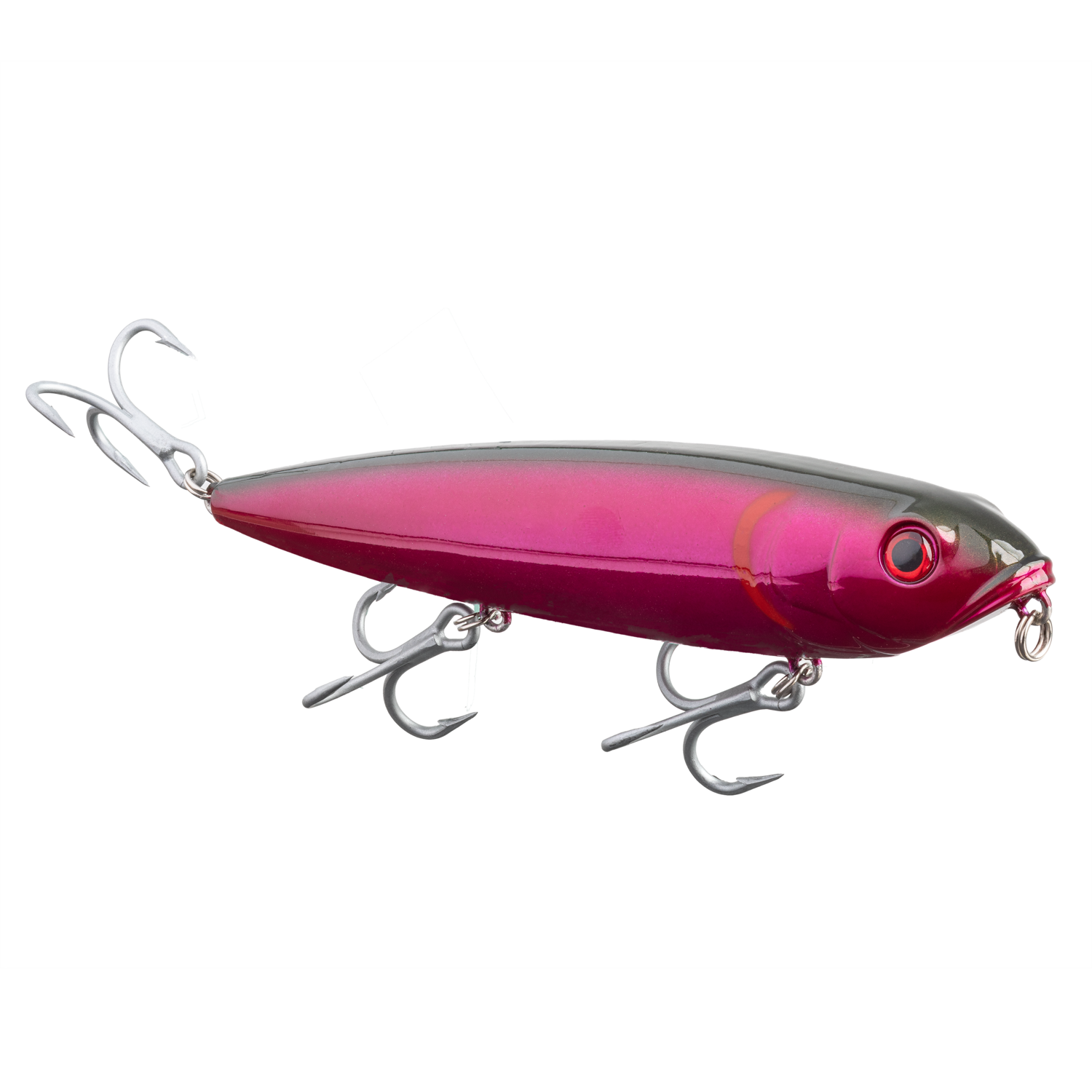 Saltwater Mega Dawg