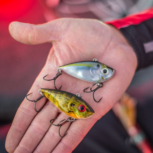 Red Eyed Shad 1/4oz - Image 2