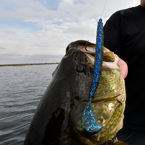 Strike King Rage Tail Cut-R Soft Plastic Worm - 5.5 Inch, 17 Color Options, For Bass Fishing 4 thumbnail image
