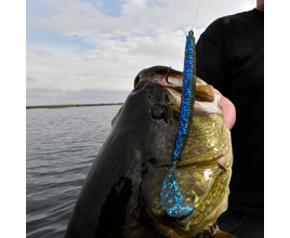 Strike King Rage Tail Cut-R Soft Plastic Worm - 5.5 Inch, 17 Color Options, For Bass Fishing